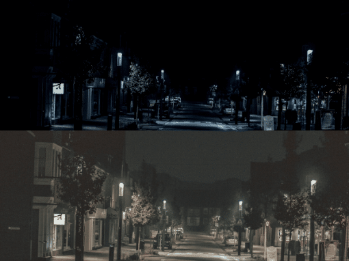 Cat Vision vs Human Vision