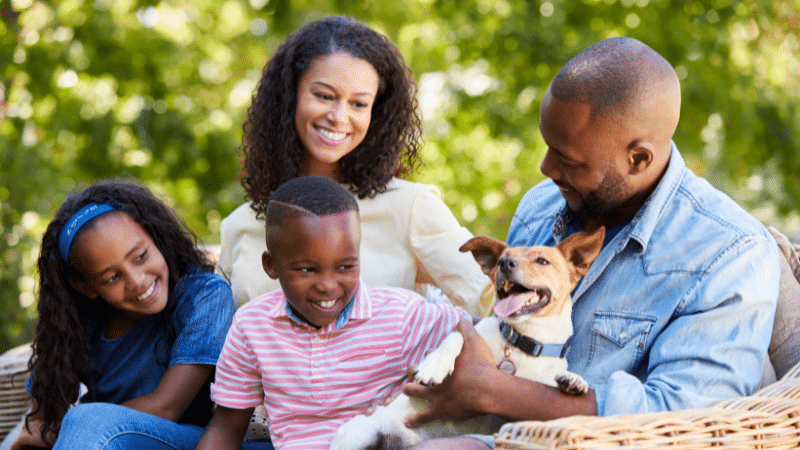 dog-breeds