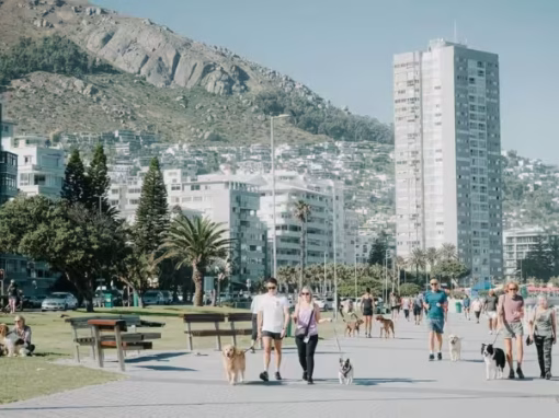 New Proposed Laws For Cape Town Pet Owners
